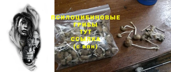 эйфоретик Куйбышев