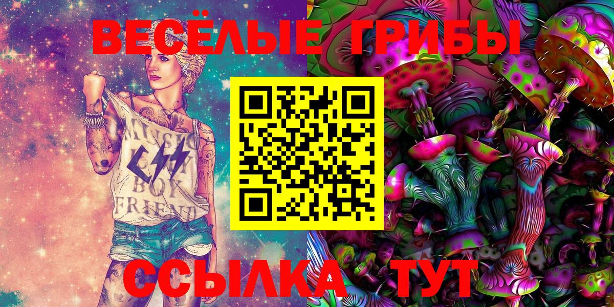 Галлюциногенные грибы Psilocybine cubensis Мегион