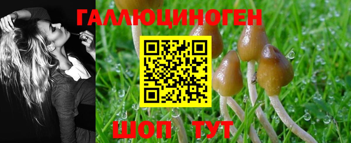 Мегион  Псилоцибиновые грибы GOLDEN TEACHER  Вход с VPN 