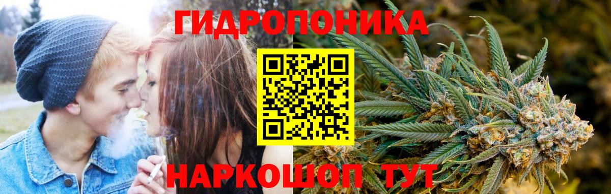 Бошки Шишки VHQ Мегион